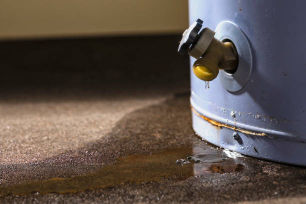 Best Water damage cleanup near me  in Excelsior Springs, MO