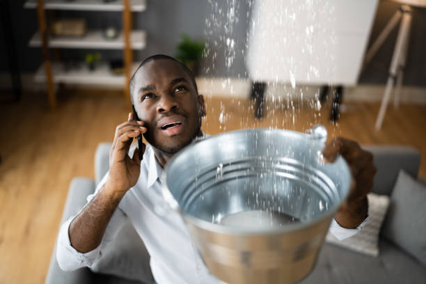 Best Water damage contractors near me  in Excelsior Springs, MO