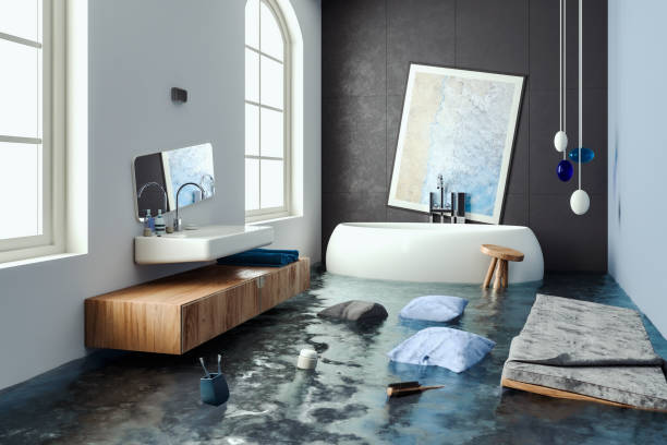 Best Flood restoration services  in Excelsior Springs, MO