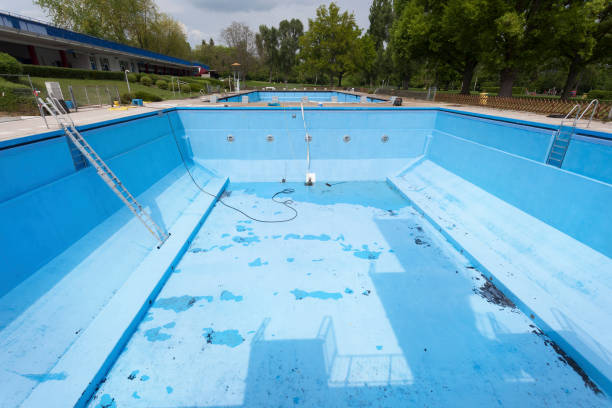 Best Mold removal after water damage  in Excelsior Springs, MO
