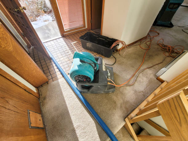 Best Residential water damage restoration  in Excelsior Springs, MO