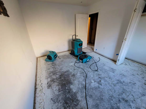Best Commercial water damage restoration  in Excelsior Springs, MO