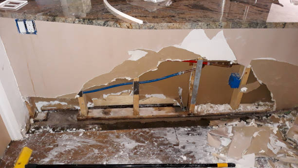 Best Carpet water damage restoration  in Excelsior Springs, MO