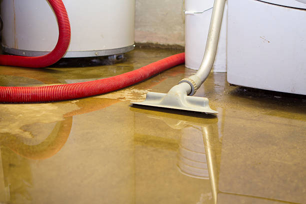 Best Emergency water damage restoration  in Excelsior Springs, MO