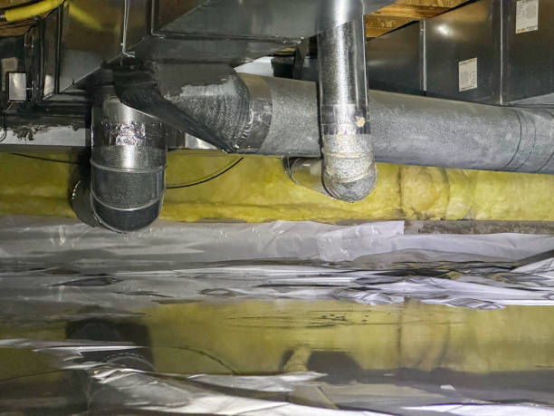 Best Flood restoration services  in Excelsior Springs, MO