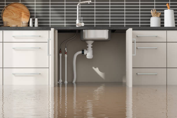 Best Professional water damage repair  in Excelsior Springs, MO