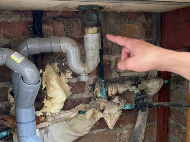 Best Water damage restoration near me  in Excelsior Springs, MO