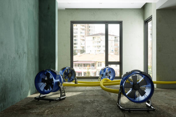 Best Fire Damage Restoration  in Excelsior Springs, MO