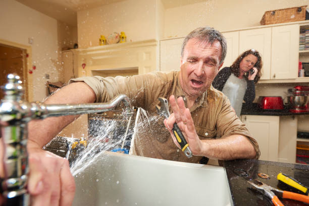 Best Flood restoration services  in Excelsior Springs, MO